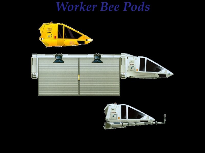 Worker Bee Pods