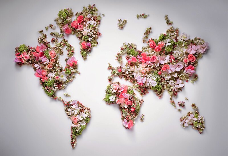 World Map Made of Flowers — Pink, Calm
