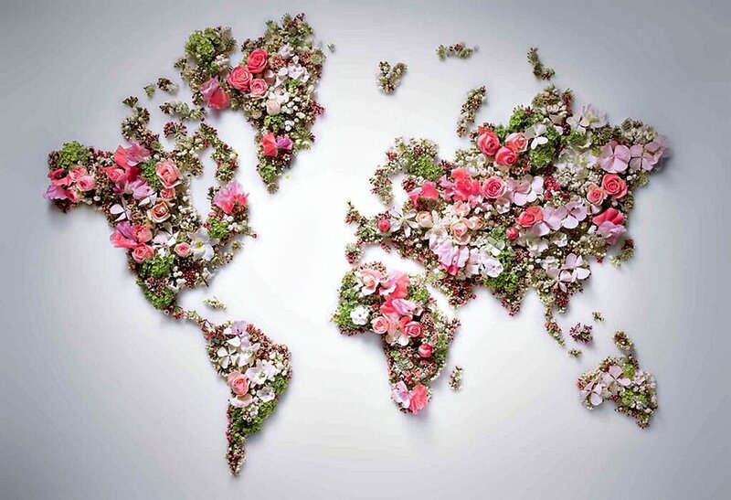 World Map Made of Flowers — Pink
