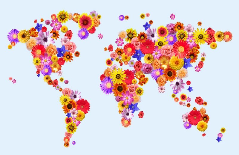 World Map Made of Flowers