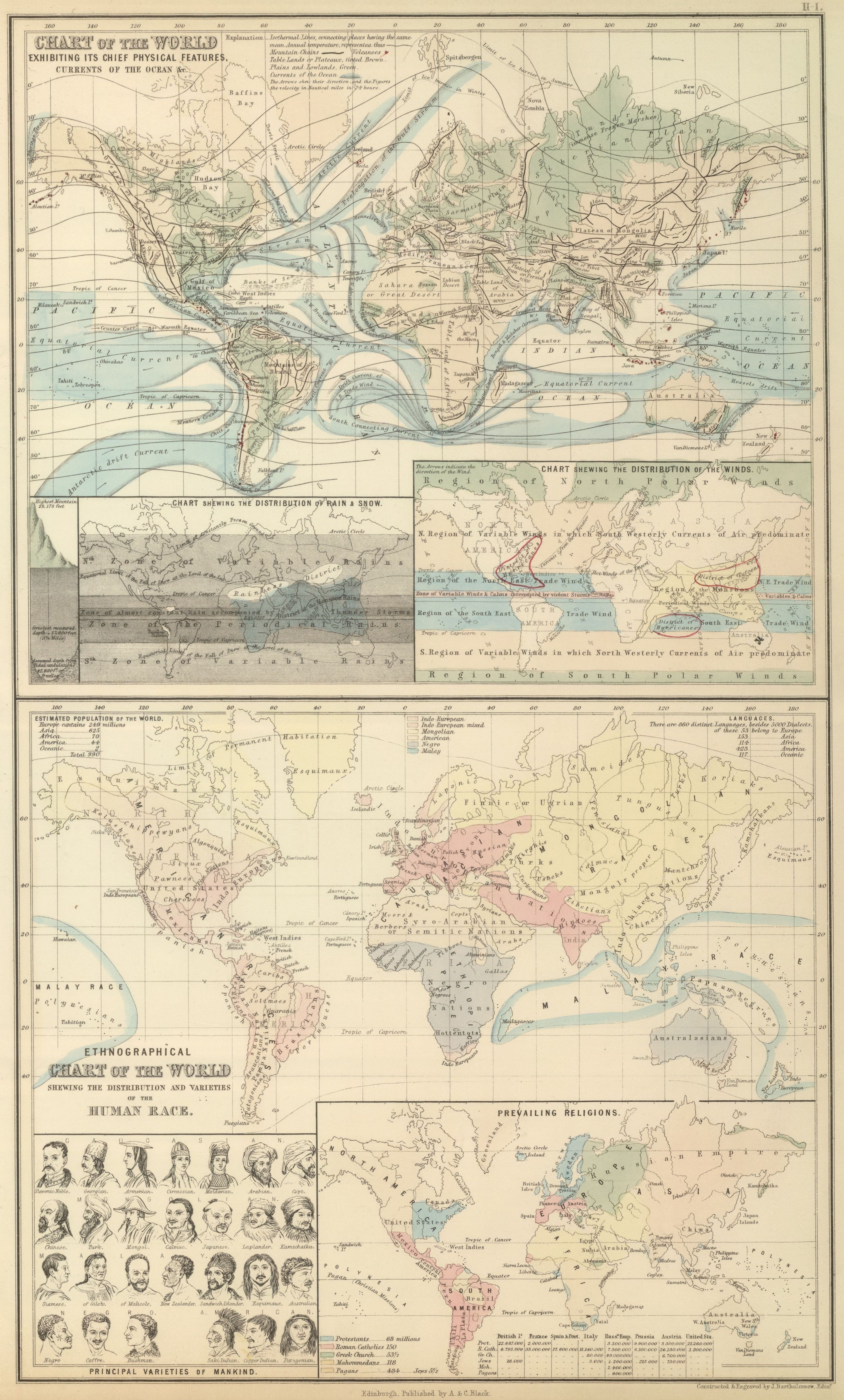 World maps and human varieties