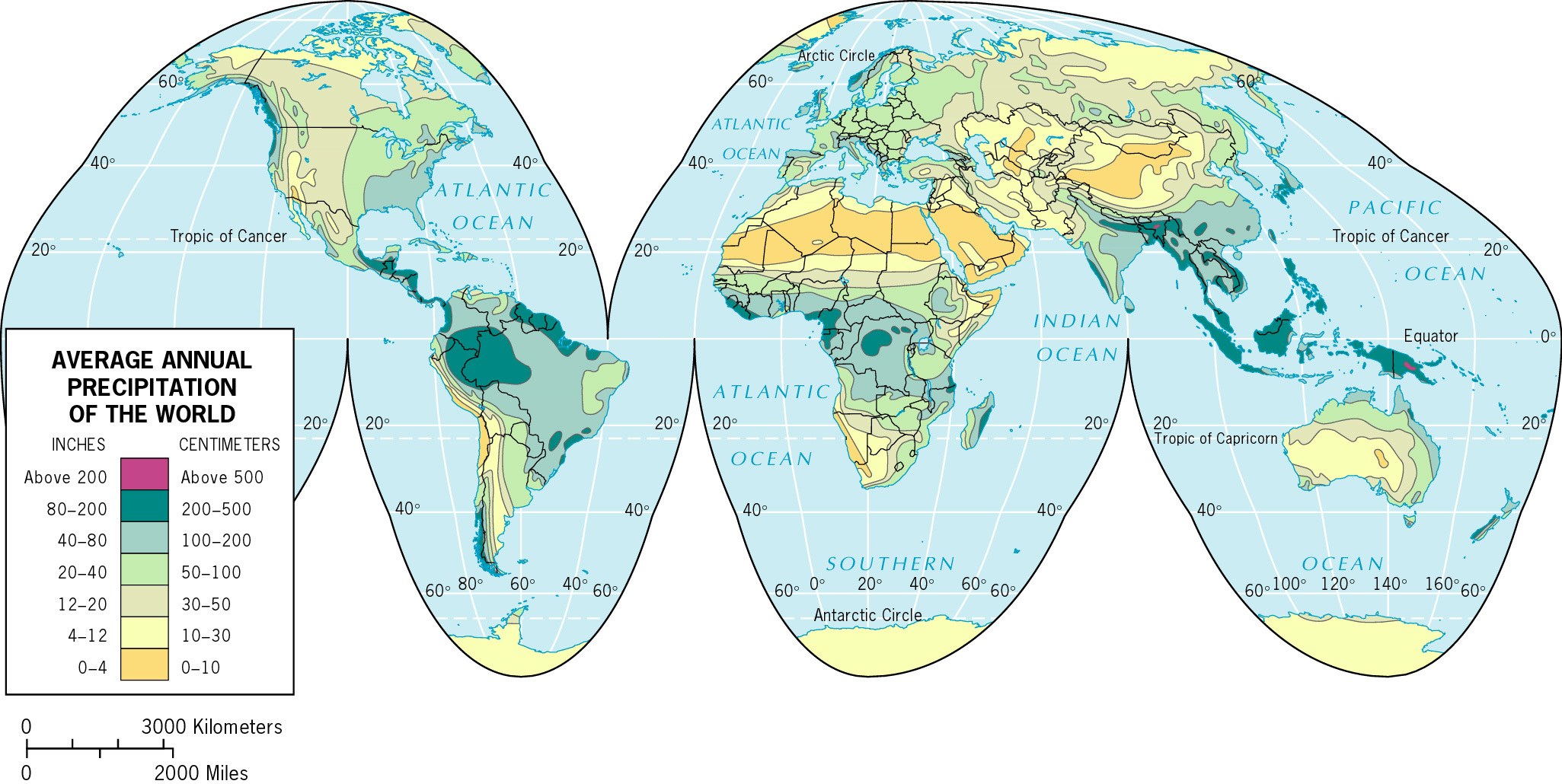 World Precipitation Map