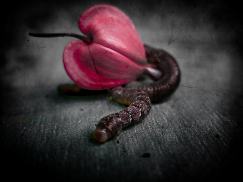worm with heart-shaped flower