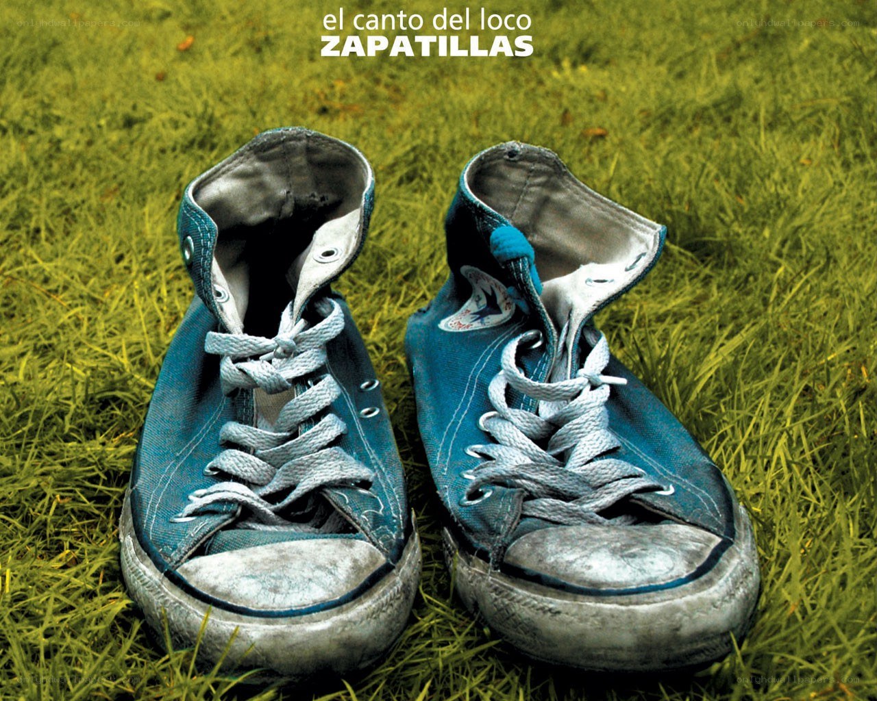 worn blue sneakers on grass