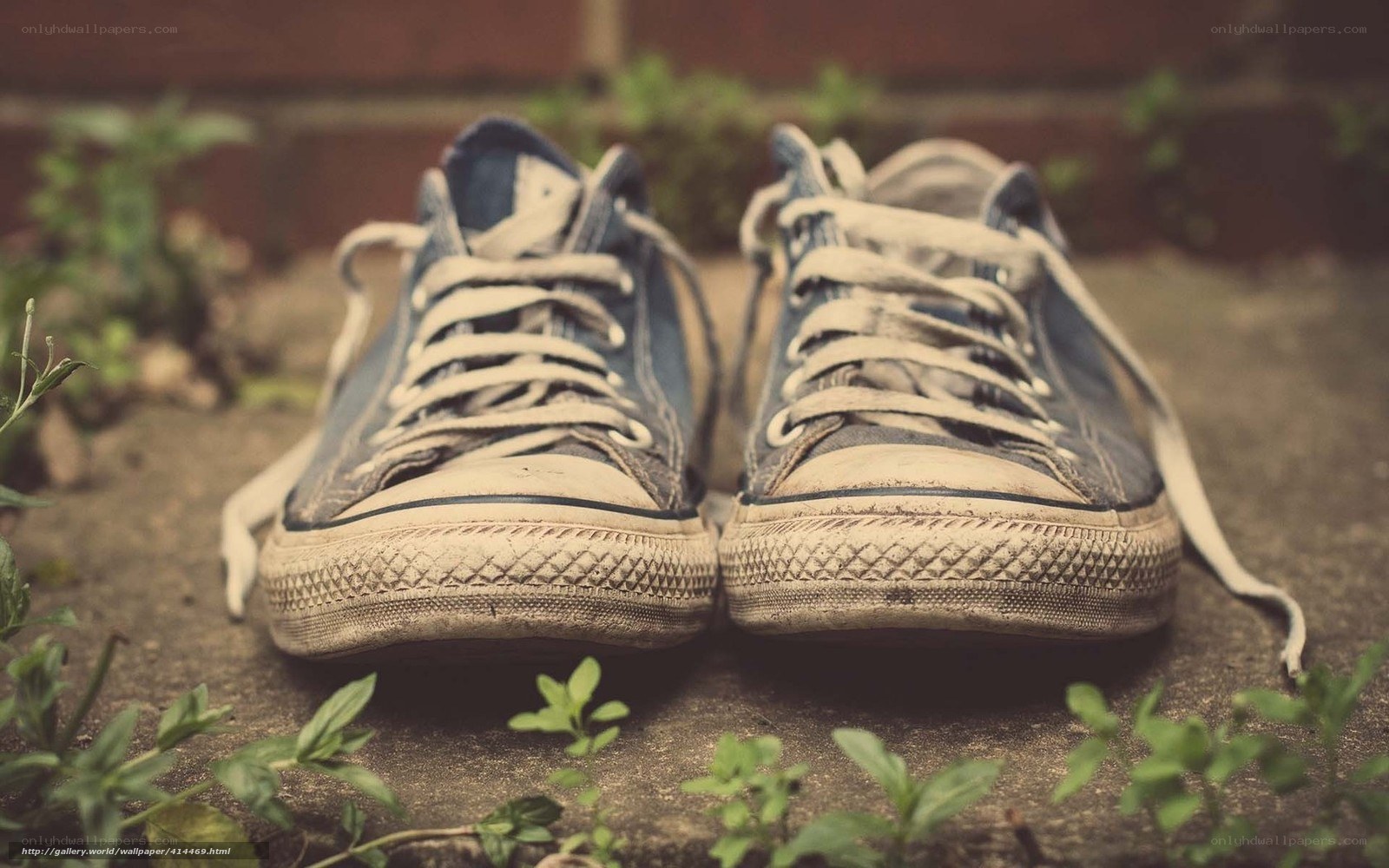 worn blue sneakers on pavement