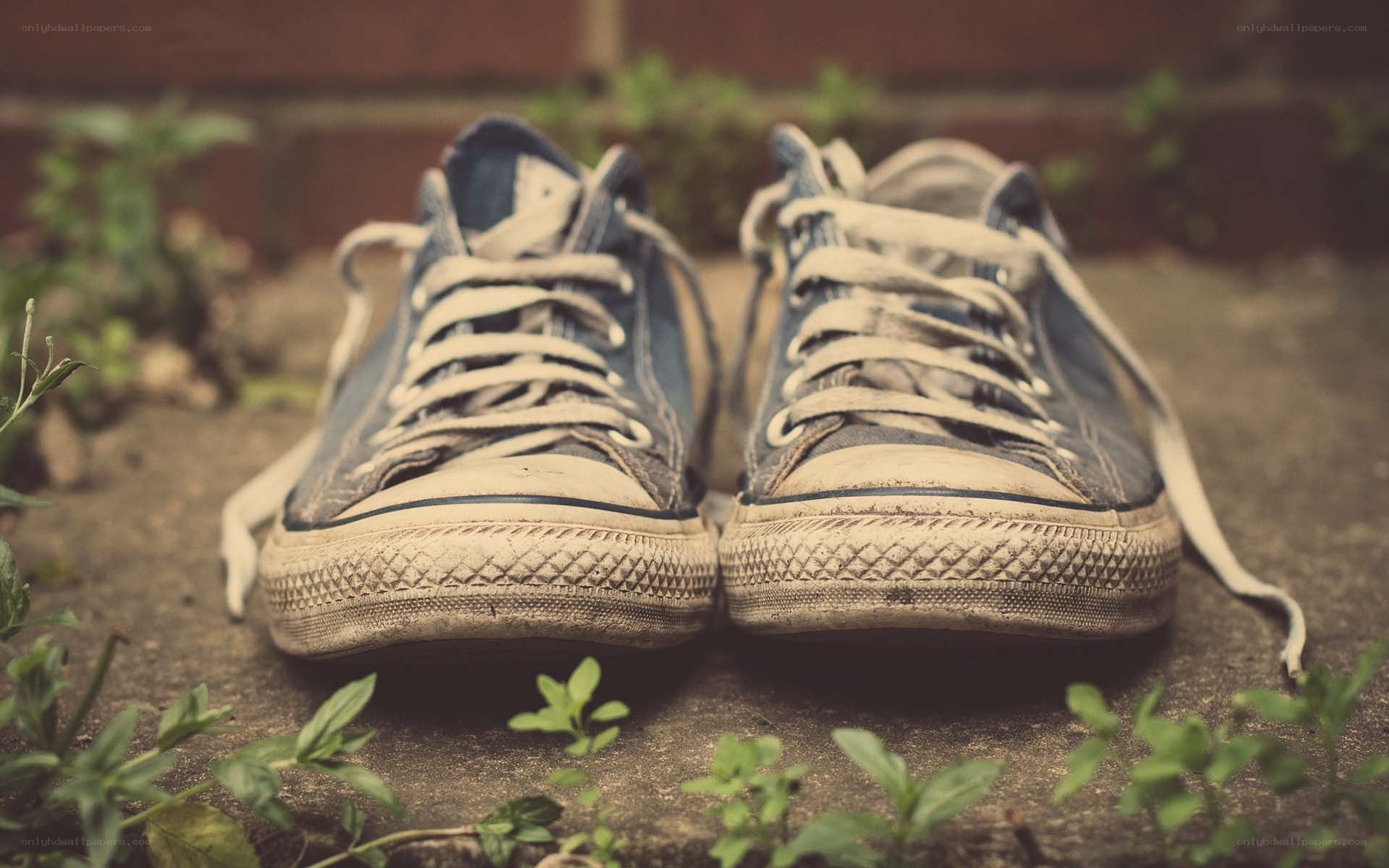 worn blue sneakers on pavement