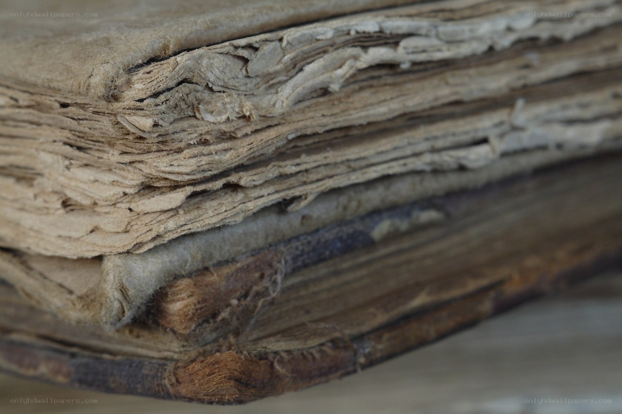 worn book pages close-up