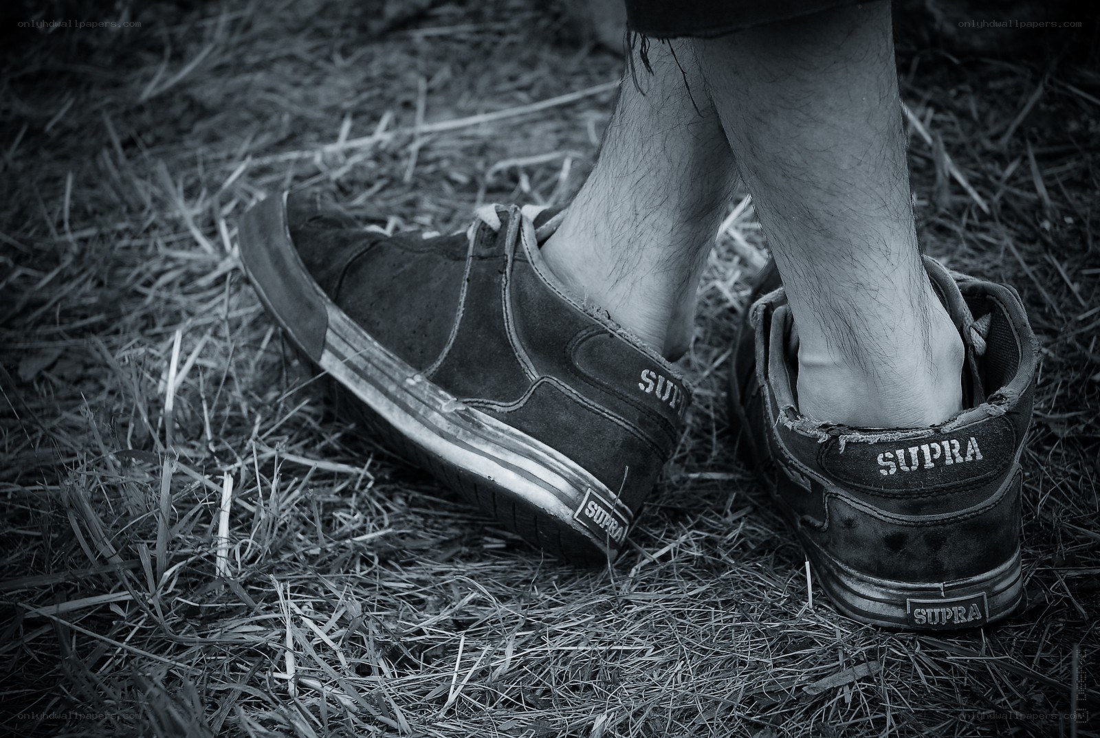worn Supra sneakers on grass
