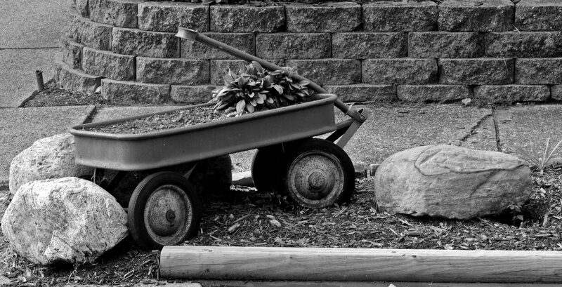 Worn Wagon with Plants