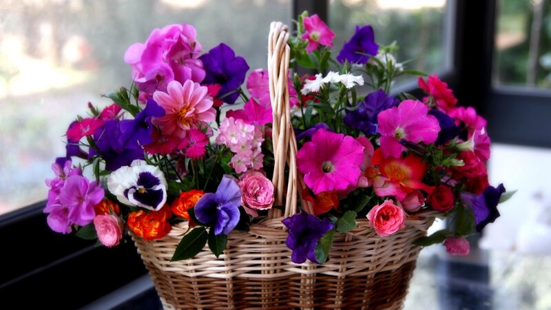 Woven Basket of Flowers — Pink, Colorful