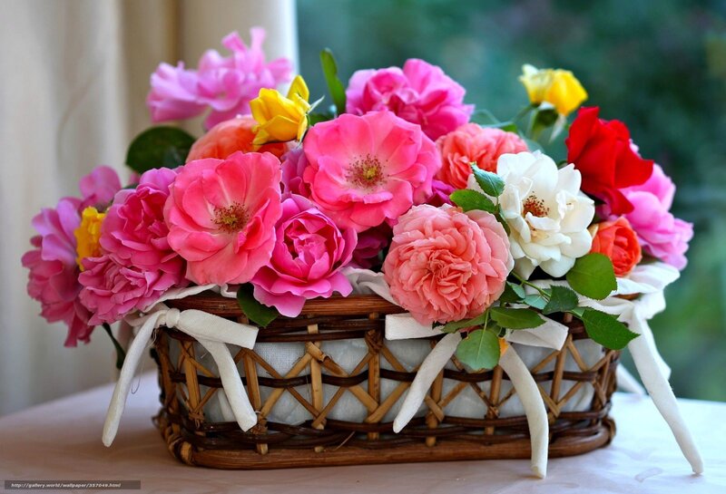 Woven Basket of Roses — Pink, Calm, Photograph