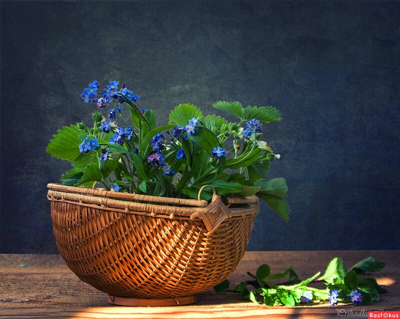 Woven Basket with Flowers — Blue, Serene, Afternoon