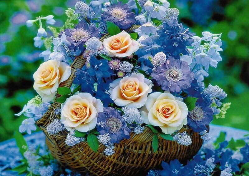 Woven Basket with Flowers — Blue, Serene, Spring, Photograph