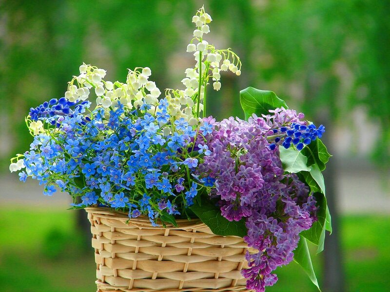 Woven Basket with Flowers — Blue, Serene, Spring