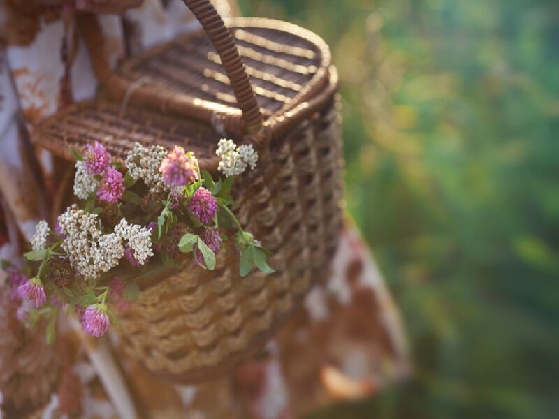 Woven Basket with Flowers — Brown, Serene, Afternoon