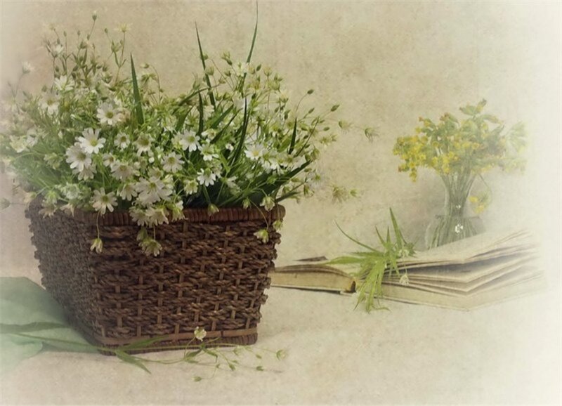 Woven Basket with Flowers — Brown, Serene, Photograph, Book