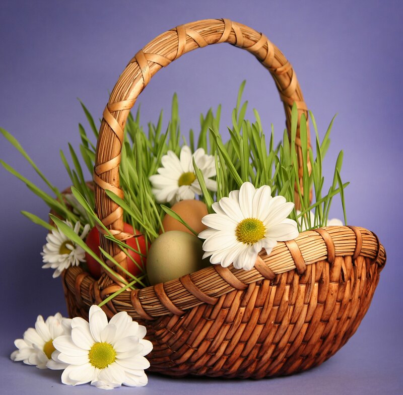 Woven Basket with Flowers — Brown, Serene, Spring, Photograph