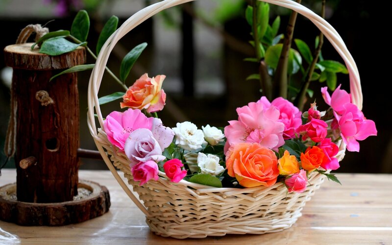 Woven Basket with Flowers — Pink, Calm, Afternoon, Photograph