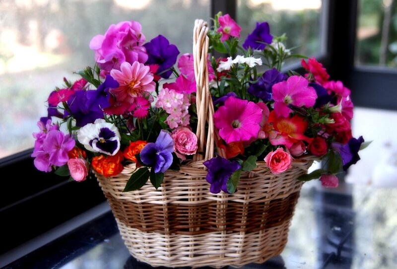 Woven Basket with Flowers — Pink, Calm, Afternoon, Photograph, Window