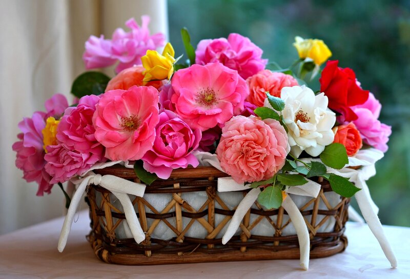 Woven Basket with Flowers — Pink, Calm, Afternoon