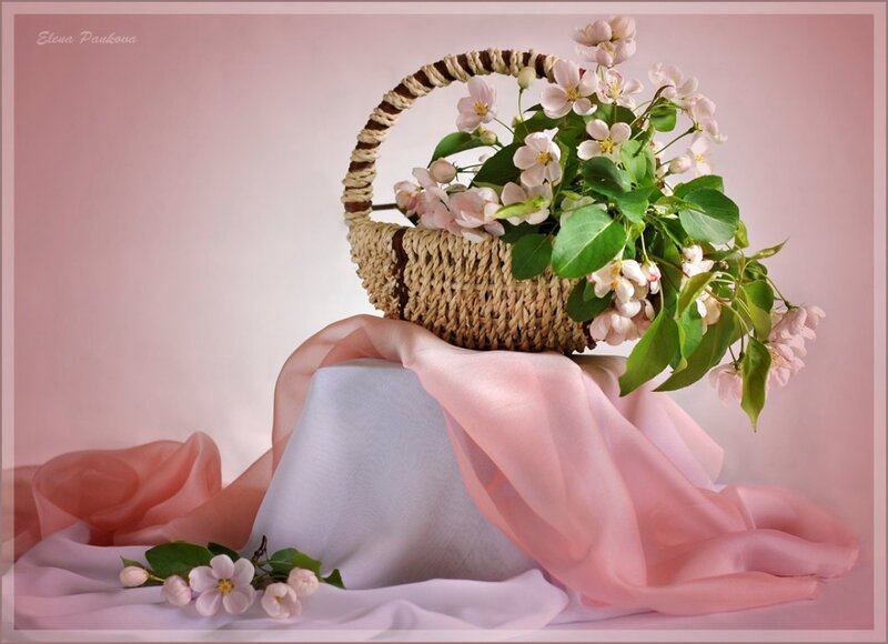 Woven Basket with Flowers — Pink, Serene, Spring