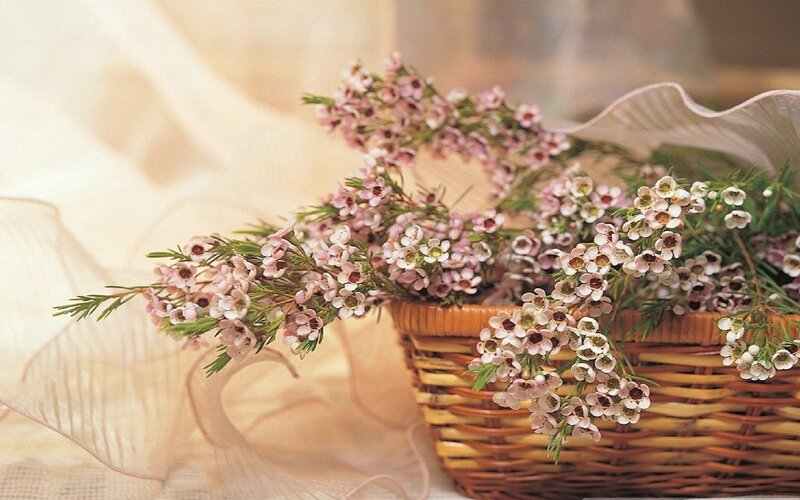 Woven Basket with Flowers — Pink, Serene