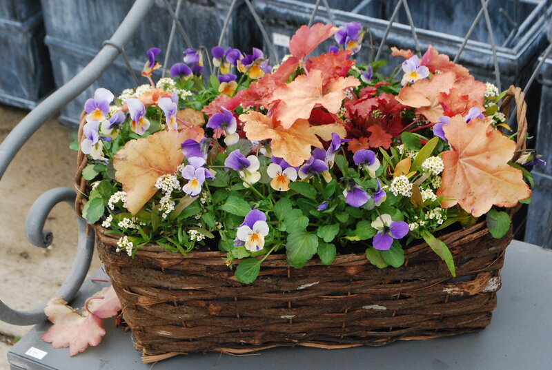 Woven Basket with Flowers — Purple, Calm, Spring