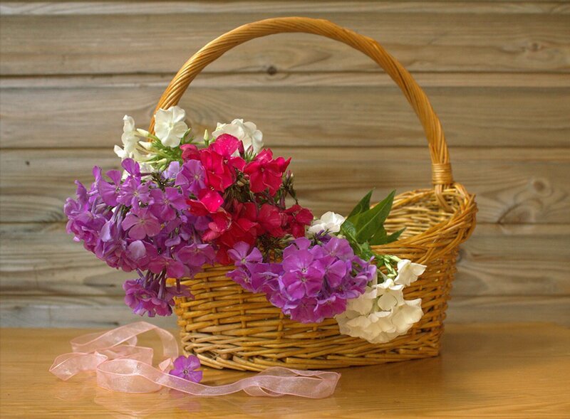 Woven Basket with Flowers — Purple, Calm