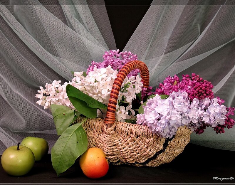 Woven Basket with Flowers — Purple, Serene, Photograph