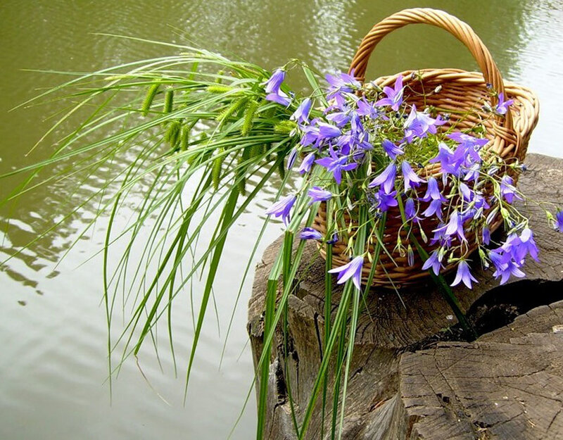 Woven Basket with Flowers — Purple