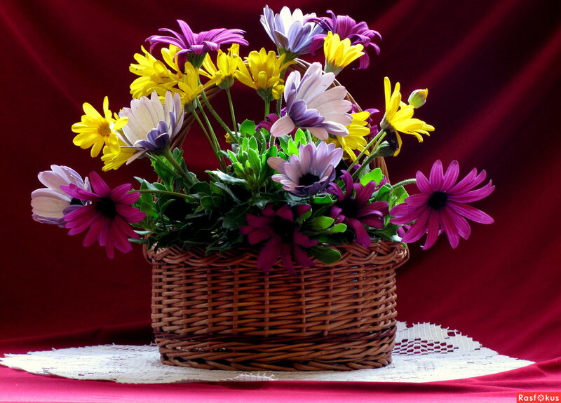 Woven Basket with Flowers — Red, Dramatic