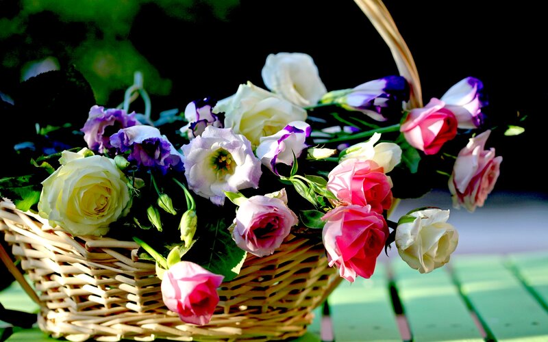 Woven Basket with Flowers — White, Serene, Afternoon
