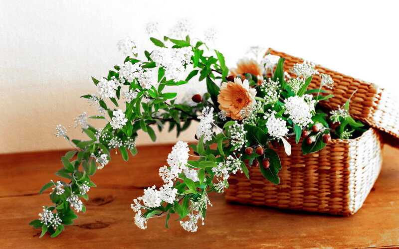 Woven Basket with Flowers — White, Serene