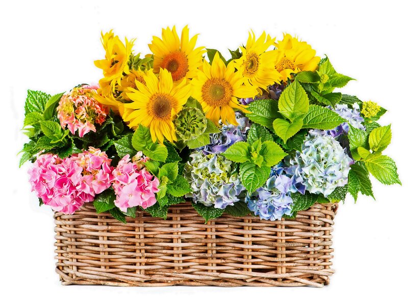 Woven Basket with Flowers — Yellow, Bright, Summer