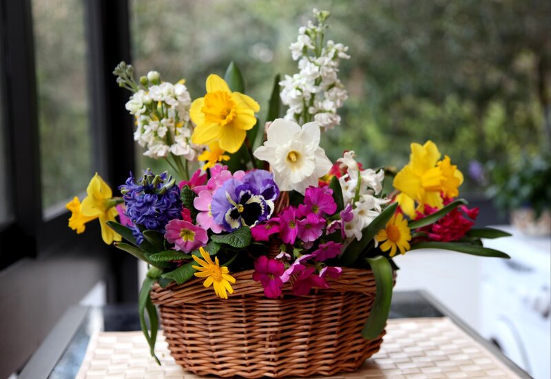 Woven Basket with Flowers — Yellow, Calm, Spring, Photograph