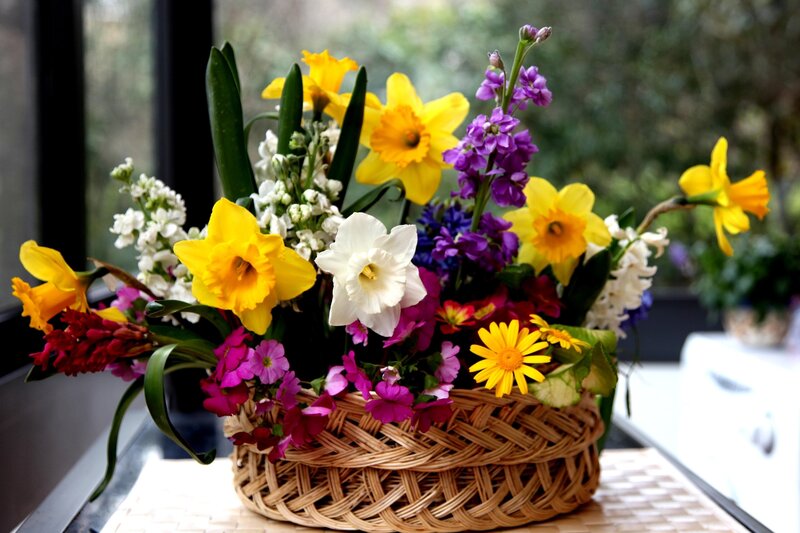 Woven Basket with Flowers — Yellow, Calm, Spring, Photograph, Window