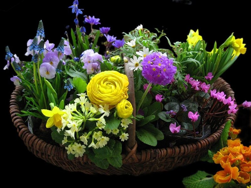 Woven Basket with Flowers — Yellow, Colorful