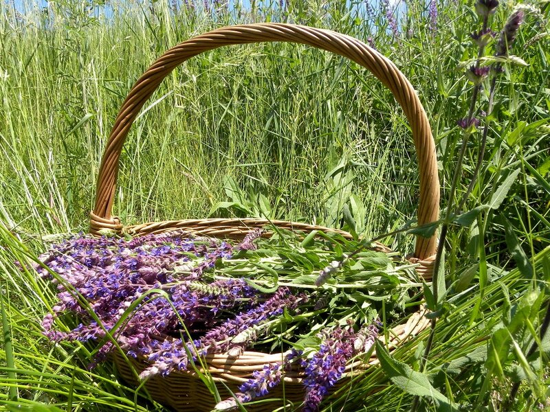 Woven Basket with Lavender — Purple, Serene
