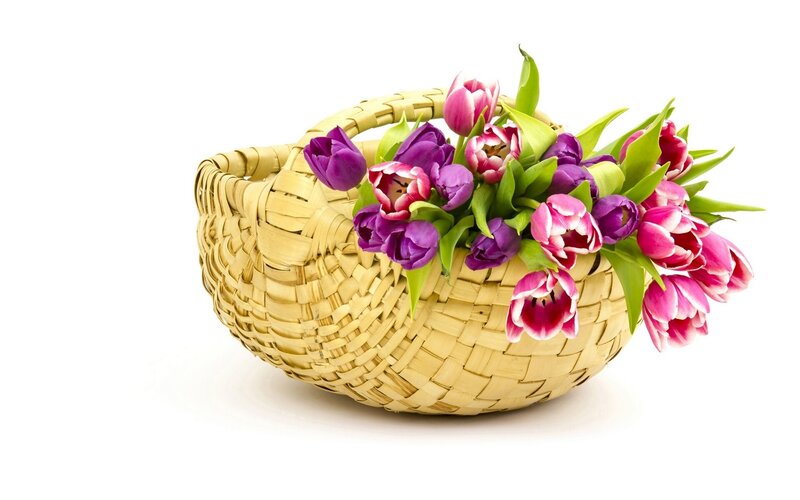 Woven Basket with Tulips