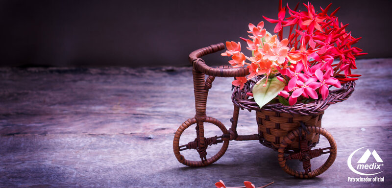 Woven Bicycle with Flowers