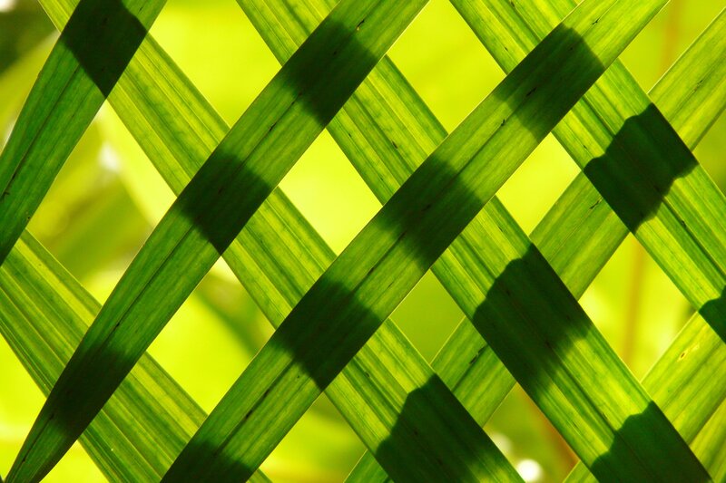 Woven Green Leaves