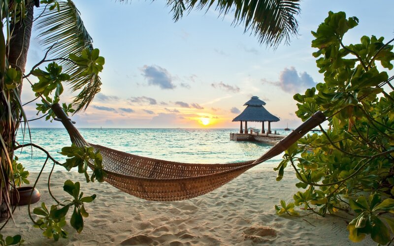 Woven Hammock on Beach — Blue, Serene, Sunset, Photograph, Palm Tree