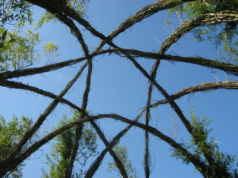 woven tree structure