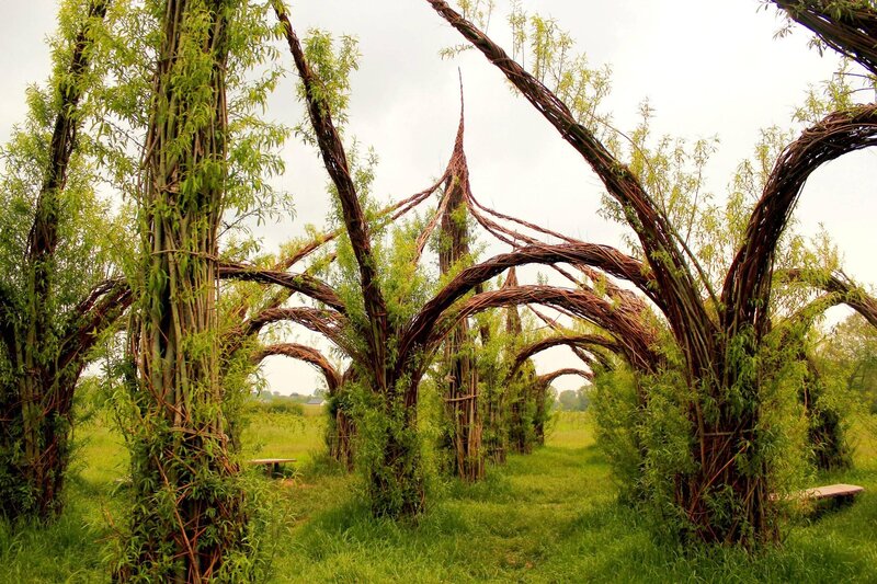 Woven willow arches in a garden