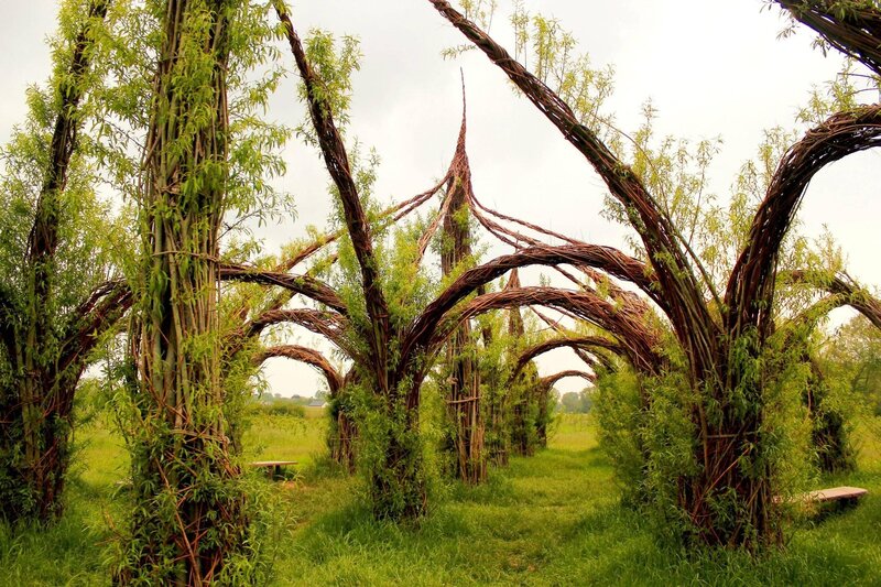 Woven Willow Arches