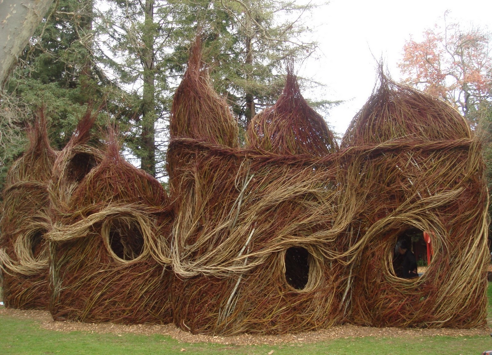 Woven willow sculpture structure