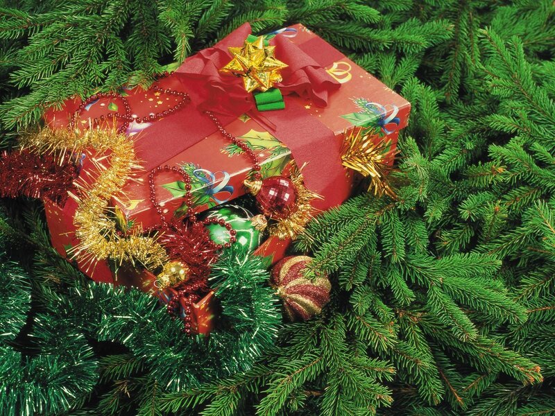 Wrapped Gift in Pine Branches