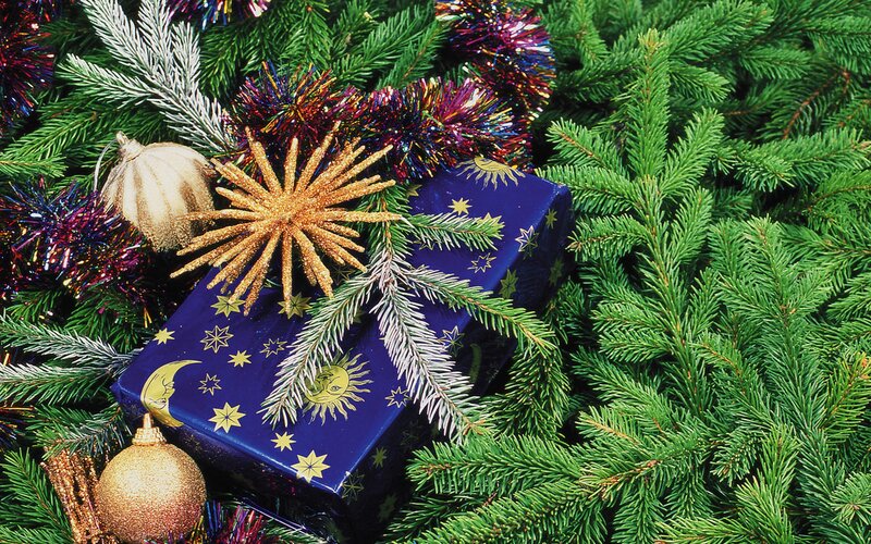 Wrapped Gift on Pine Branches