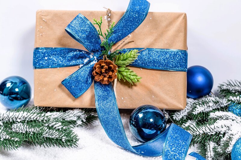 Wrapped Gift with Blue Ribbon
