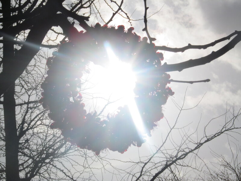 Wreath on Tree Branch
